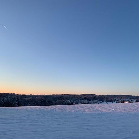 Modernes Ferienhaus Im Schwarzwald Freiamt Exteriör bild